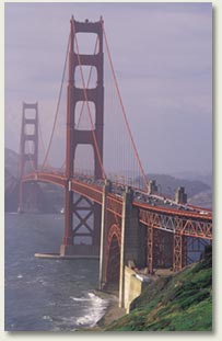 Marin Law Offices - Louis Napoli, Attorney at Law